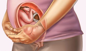 Sự phát triển của thai nhi tuần 28